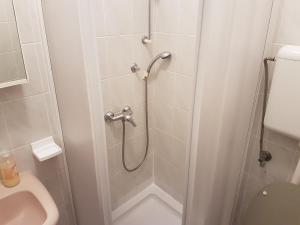 a bathroom with a shower with a toilet and a sink at Apartments Zova in Medulin