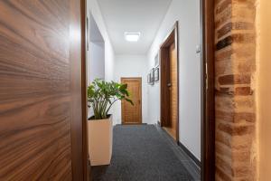 Fotografie z fotogalerie ubytování Villa Jochmann v destinaci Batizovce