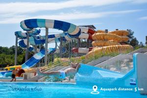 Fotografie z fotogalerie ubytování Studio in Novigrad/Istrien 35888 v destinaci Novigrad – Istrie