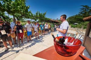 Fotografie z fotogalerie ubytování Studio in Novigrad/Istrien 35888 v destinaci Novigrad – Istrie