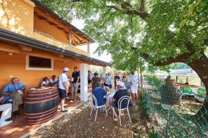 Fotografie z fotogalerie ubytování Studio in Novigrad/Istrien 35888 v destinaci Novigrad – Istrie + 8 fotografií