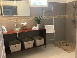 ein Badezimmer mit einer Theke mit einem Waschbecken und einem Spiegel in der Unterkunft EVASION CARAÏBES in Roussel