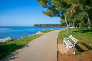 Fotografie z fotogalerie ubytování Studio in Novigrad/Istrien 35888 v destinaci Novigrad – Istrie
