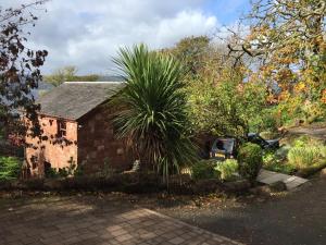 a house with a palm tree in front of it at The Coach House in Skelmorlie