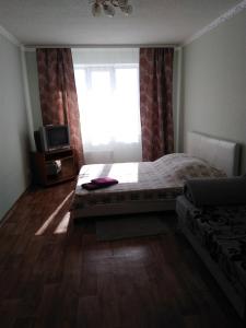 ベルツクにあるАпартаменты на Лунной возле "Зима-Лето"のベッドルーム(ベッド1台、窓、テレビ付)