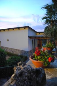 dom z dwoma doniczkami kwiatów przed nim w obiekcie Villa Mola Bed And Breakfast w mieście Corbara