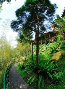 Taman di luar Shinmingshan Holiday Inn