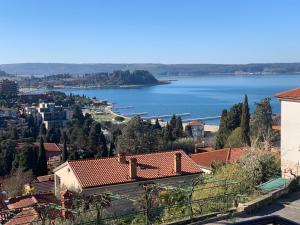 a view of a large body of water from a city at Apartments Ostanek 2 in Portorož