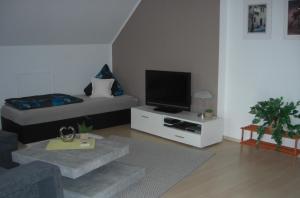 a living room with a couch and a television at Appartement Am Goldberg in Goldbach