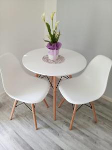 einen weißen Tisch mit zwei Stühlen und eine Vase mit einer Pflanze in der Unterkunft Studio in Pula center in Pula