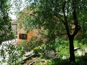 Gallery image of agriturismo la scuderia in Galzignano