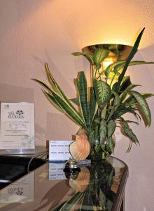 a vase with a plant on a glass table at Hotel Val Flores in Valença