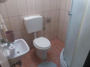 a bathroom with a toilet and a sink and a shower at House Drakulić in Korenica