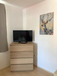 TV a/nebo společenská místnost v ubytování Forsthof Next Door