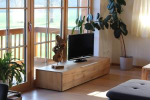 TV a/nebo společenská místnost v ubytování Ferienwohnung Panoramablick