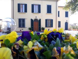 A garden outside Villa Monica