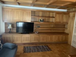 TV a/nebo společenská místnost v ubytování Musi Appartements