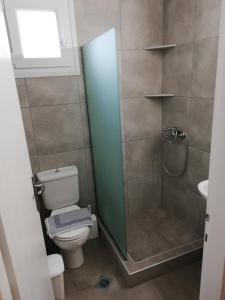 a bathroom with a shower with a toilet and a sink at Delikos House in Limenaria +17 photos
