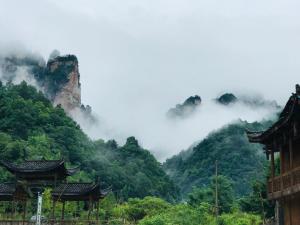 the country house周边自然景观