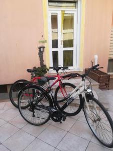 Attività di ciclismo presso il bed & breakfast o nelle vicinanze
