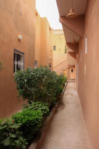 un callejón vacío entre dos edificios con plantas en Maison berbère, en Ouarzazate