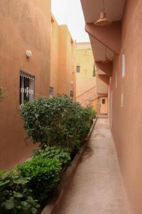 an empty alley way between two buildings with plants at Maison berbère in Ouarzazate