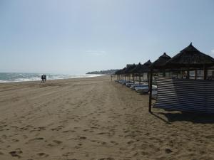 Plaża w apartamencie lub w pobliżu