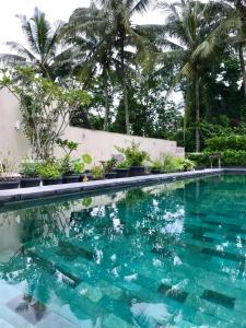 a swimming pool with turquoise water and palm trees at Omah SunFlower in Yogyakarta