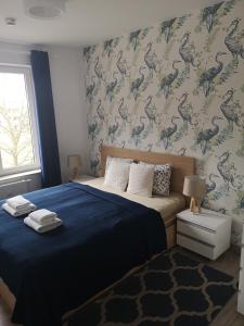 コウォブジェクにあるA&B Apartmentsのベッドルーム1室(青い毛布と恐竜の壁紙を使用したベッド1台付)