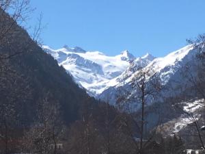 a snow covered mountain range with trees in the foreground at Ferienwohnung Scheibe in Neustift im Stubaital