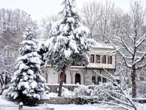 a house with a snow covered tree in front of it at Zenios Dionysos - Traditional villa in Grevena