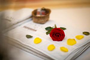 a red rose sitting on top of a book at Sumaj Casa Hotel in Tarapoto