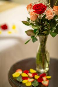 Fotografie z fotogalerie ubytování Sumaj Casa Hotel v destinaci Tarapoto