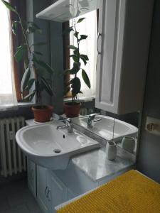 Koupelna v ubytování la casa di fiore