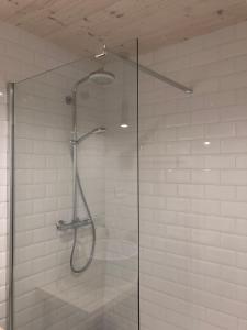 a shower with a glass door in a bathroom at NORDIK 1496 in Vysoké Tatry +32 photos