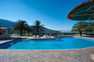 a swimming pool with palm trees in a resort at Chrissa Camping Rooms & Bungalows in Delphi