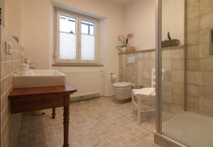 a bathroom with a sink and a toilet and a shower at Hofreite in Heppenheim an der Bergstrasse