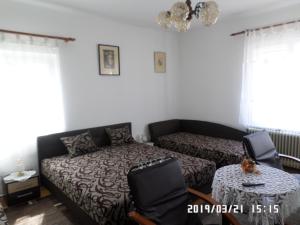 een woonkamer met een bank en een tafel bij Rita apartman in Szombathely