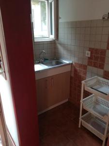 A kitchen or kitchenette at Apartman Irena