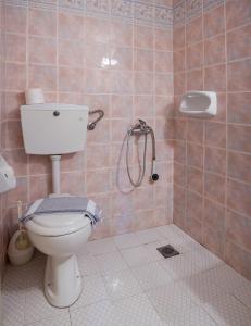 a bathroom with a toilet and a shower at Margarita Studios in Palaiochóra