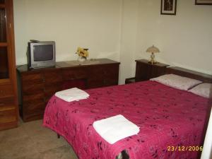 a bedroom with a red bed and a tv at Hostal Camiluz in Nazca