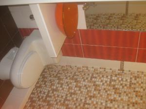 a bathroom with a toilet with an orange lid at Hostal Camiluz in Nazca