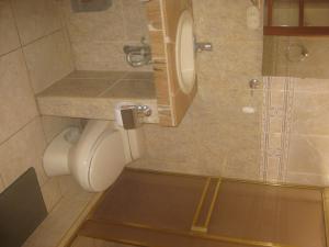 a small bathroom with a toilet and a shower at Hostal Camiluz in Nazca
