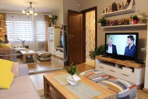 TV a/nebo společenská místnost v ubytování Apartament Euro 1 Bytom