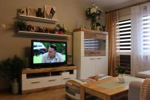 TV a/nebo společenská místnost v ubytování Apartament Euro 1 Bytom