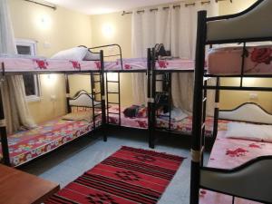 Tempat tidur dalam kamar di Bunksurfing Hostel