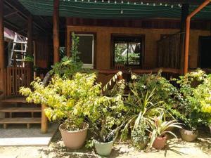 Zahrada ubytování BING-VICE Tourist Inn