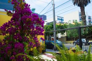 een bos paarse bloemen aan de zijkant van een gebouw bij Residencial Miraflores B&B in Lima