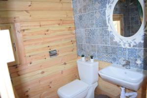a bathroom with a toilet and a sink and a mirror at Cyprus Glamping Park in Ayios Theodhoros