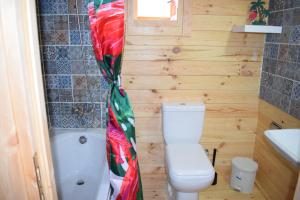 a small bathroom with a toilet and a sink at Cyprus Glamping Park in Ayios Theodhoros
